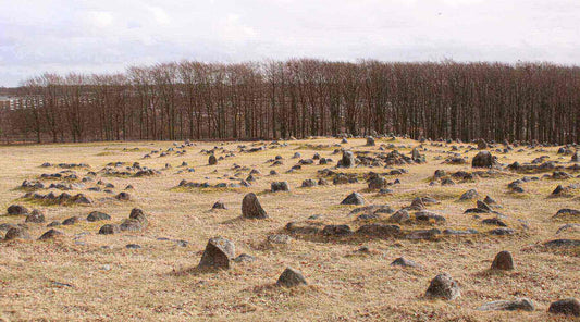 Viking tombs