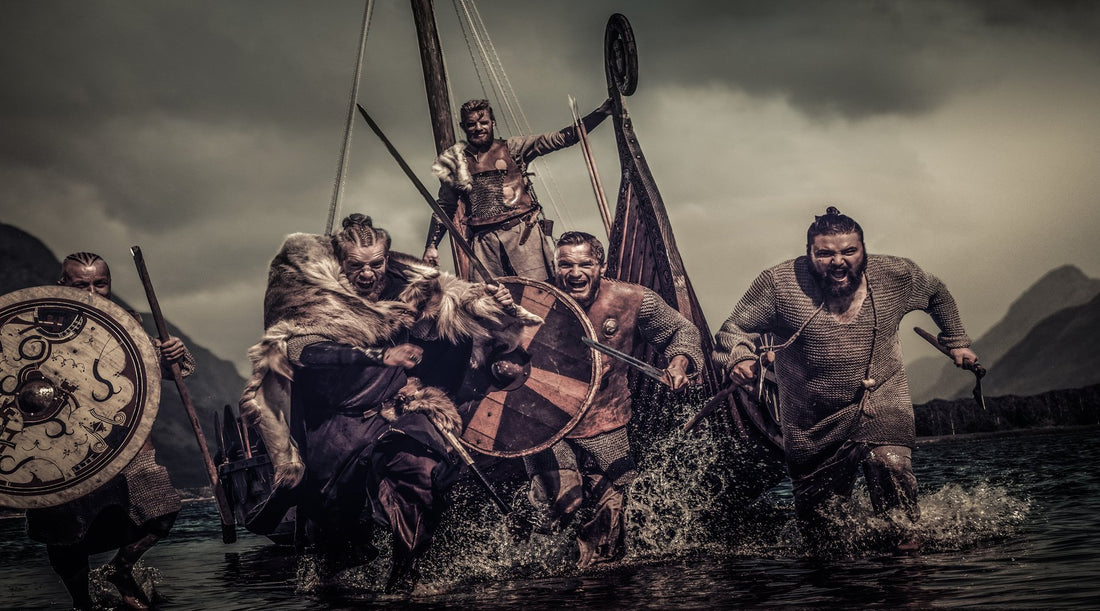Viking warriors in the battle