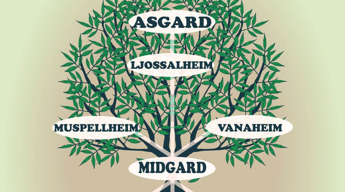 Midgard's position on Yggdrasil