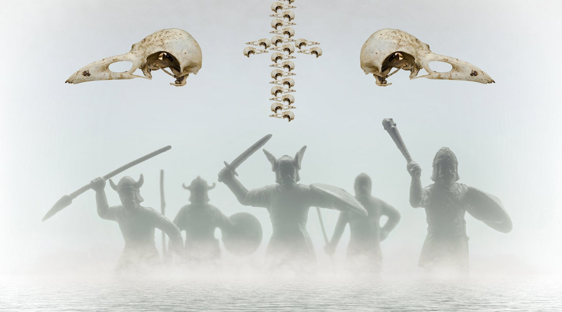 Fallen Vikings Going to Valhalla | VikingsBrand
