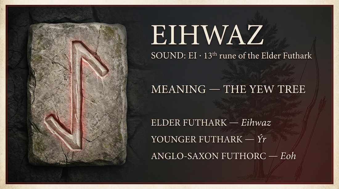 Eihwaz rune fact card: the yew tree, in the Elder Futhark