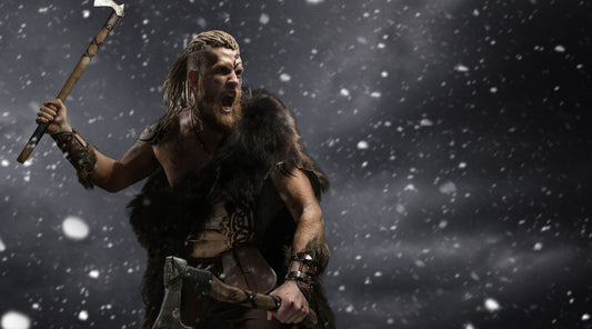 Viking warrior