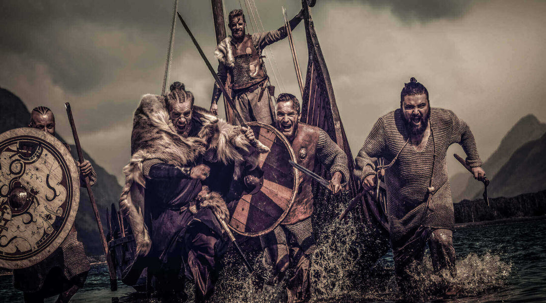 Viking warriors in battle