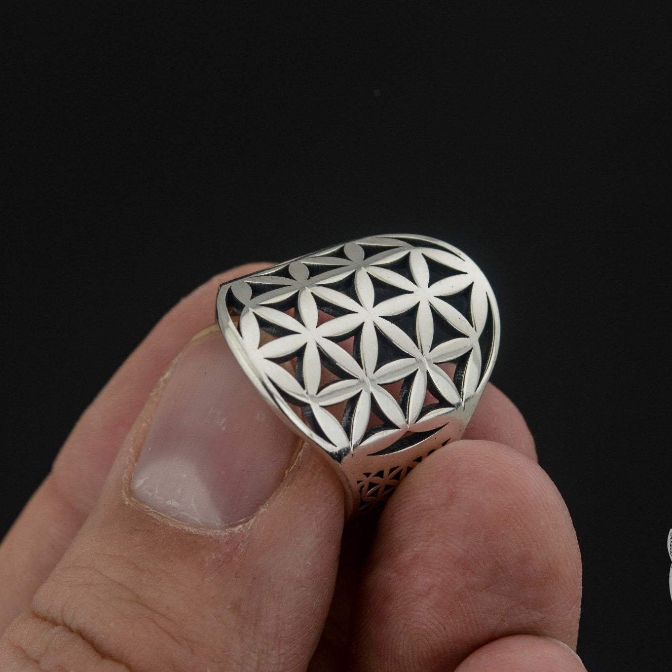 Flower of Life Symbol 925 Sterling Silver Viking Ring - VikingsBrand