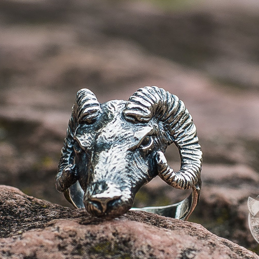 Ram 925 Sterling Silver Viking Ring - VikingsBrand