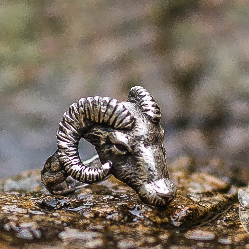 Ram 925 Sterling Silver Viking Ring - VikingsBrand