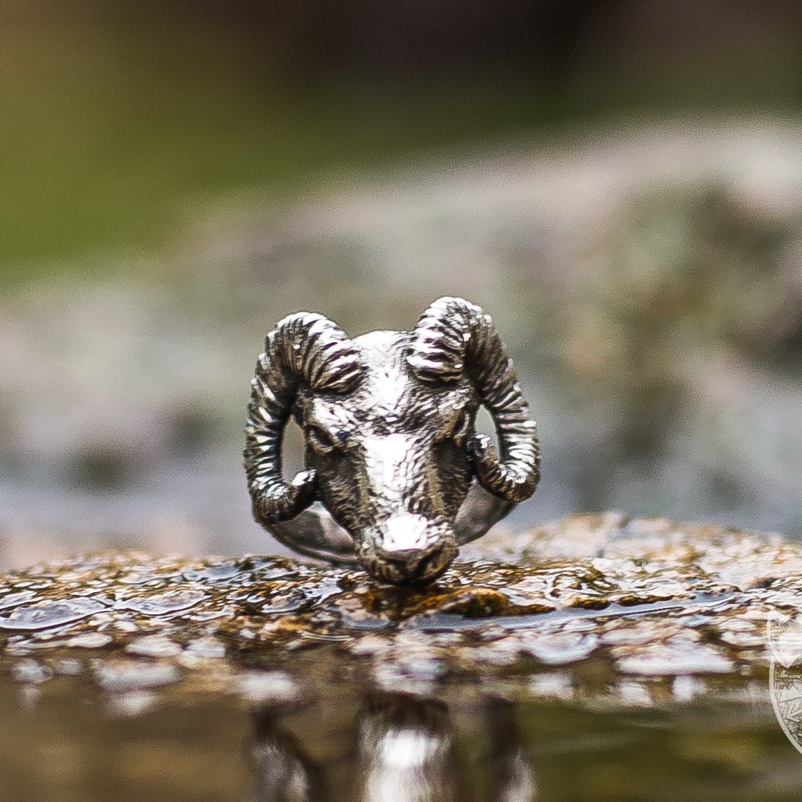 Ram 925 Sterling Silver Viking Ring - VikingsBrand