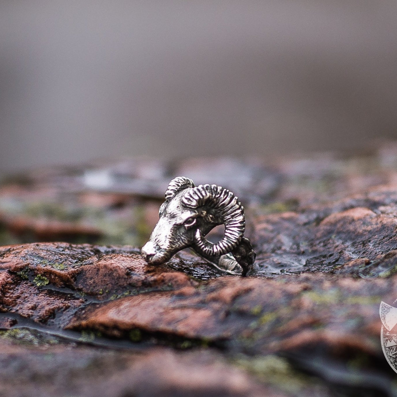 Ram 925 Sterling Silver Viking Ring - VikingsBrand