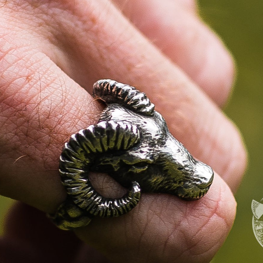 Ram 925 Sterling Silver Viking Ring - VikingsBrand