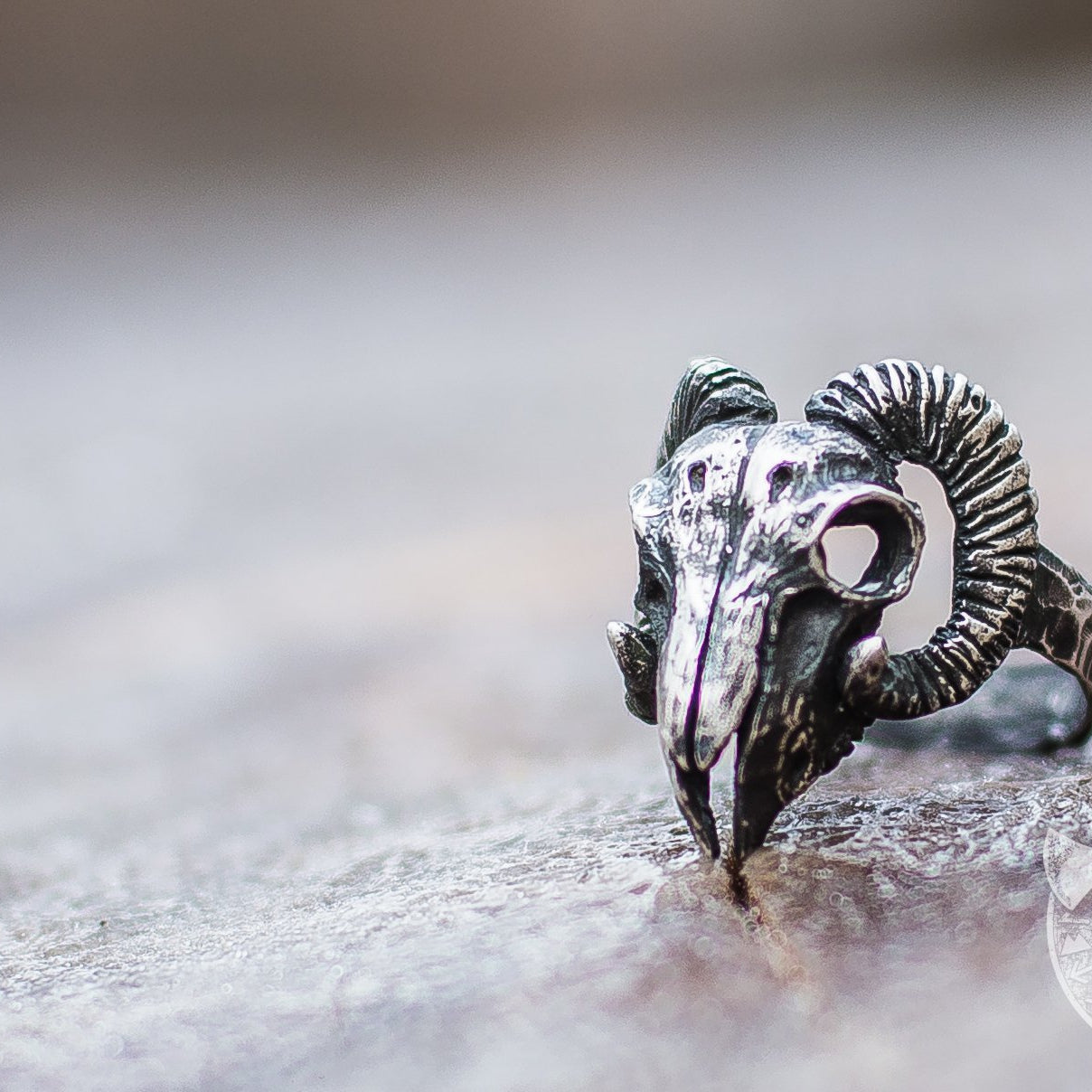 Unique Ram Skull 925 Sterling Silver Viking Ring - VikingsBrand