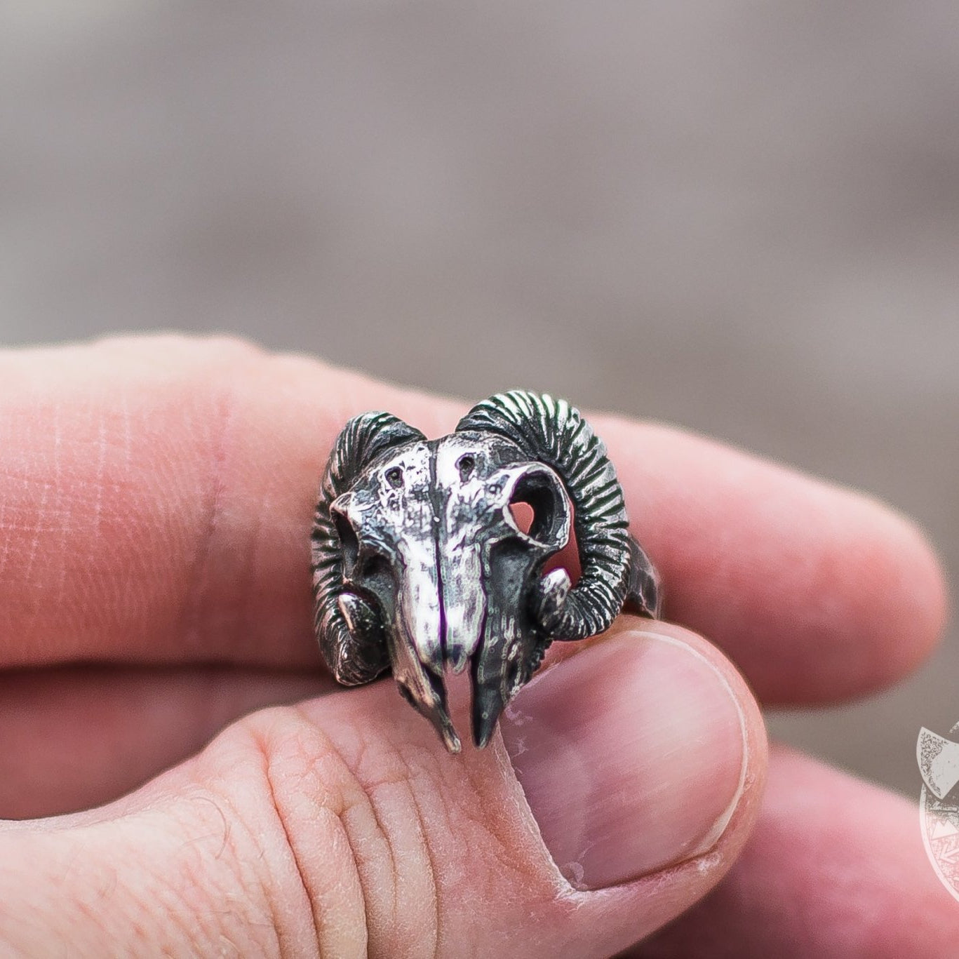 Unique Ram Skull 925 Sterling Silver Viking Ring - VikingsBrand