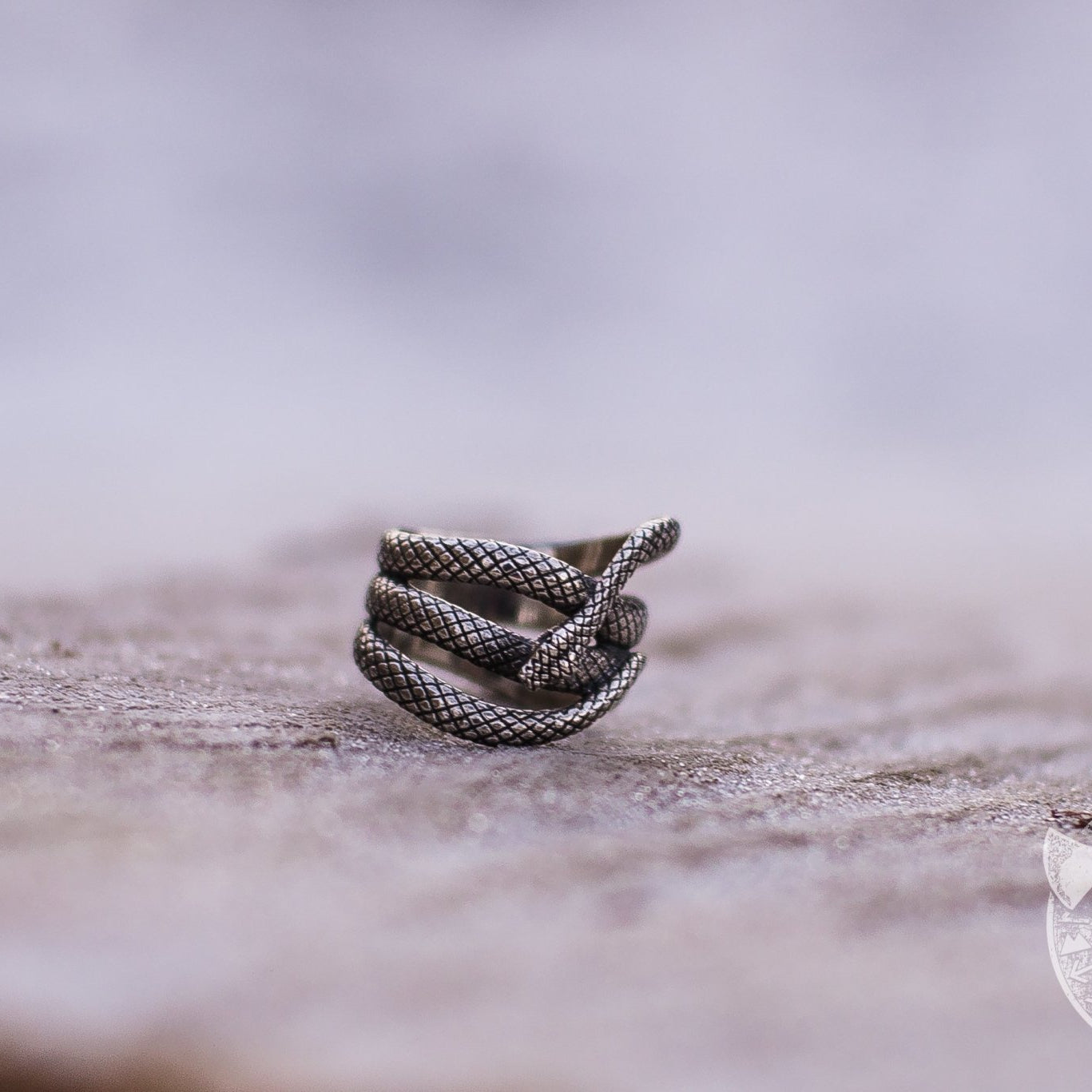 Unique Snake Shape 925 Sterling Silver Viking Ring - VikingsBrand
