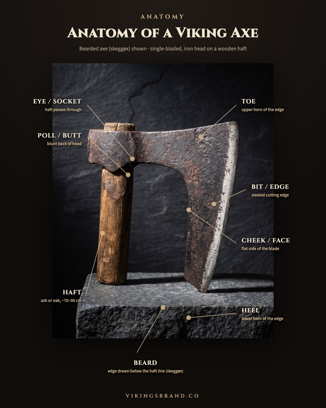 Labelled anatomy diagram of a Viking bearded axe showing the eye, poll, toe, bit, cheek, heel, beard and haft