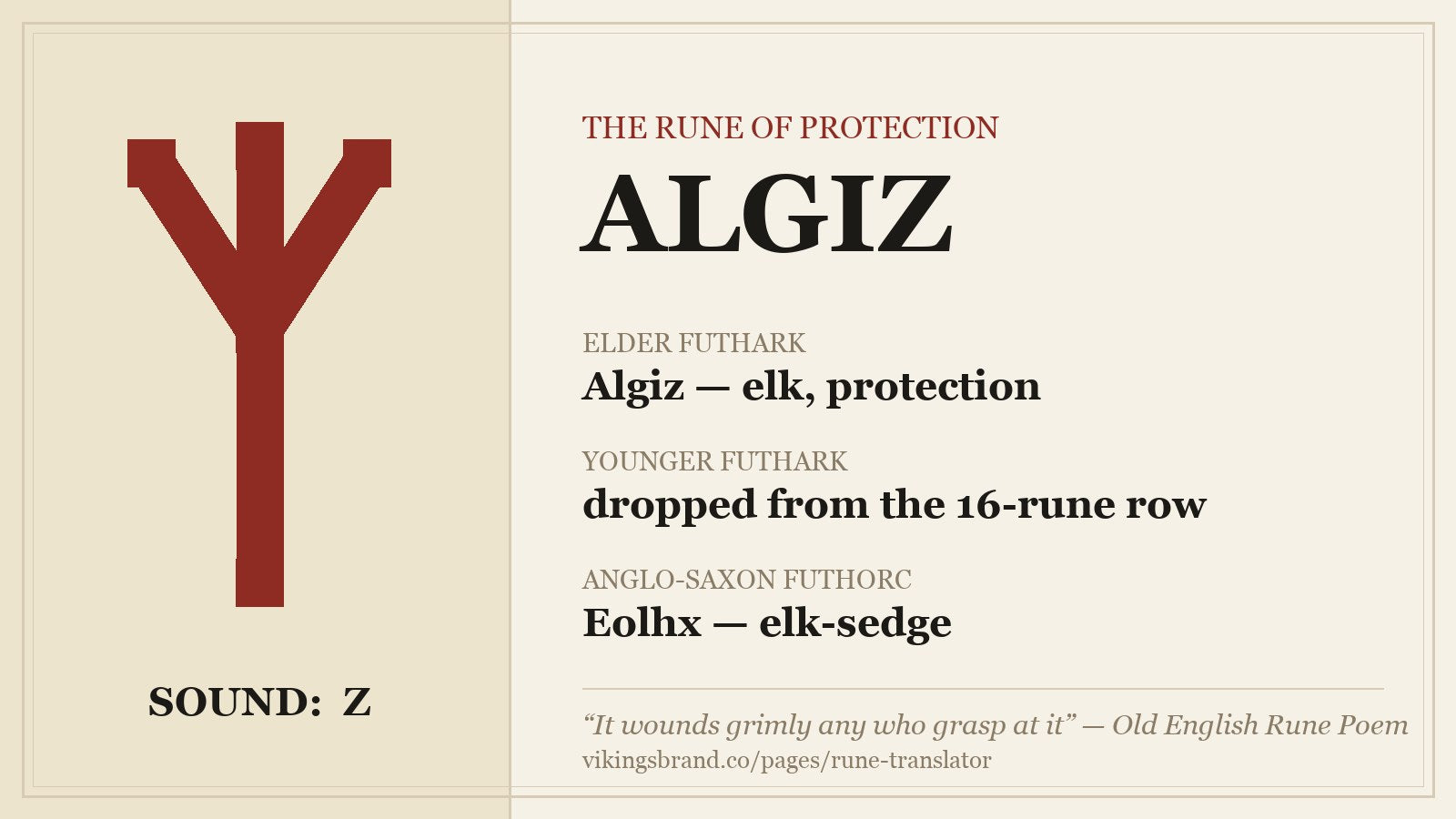 Algiz rune fact card: ᛉ, sound Z — Algiz meaning elk and protection in the Elder Futhark, dropped from the Younger Futhark, Eolhx (elk-sedge) in the Anglo-Saxon Futhorc