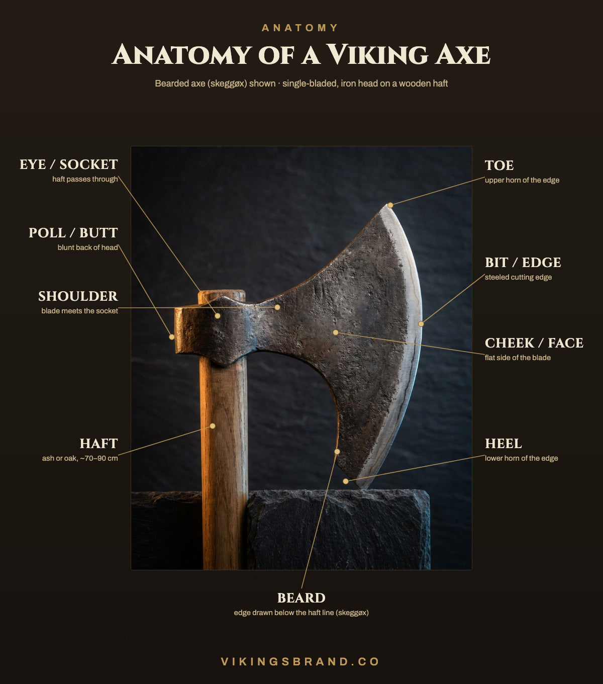 Labelled anatomy diagram of a Viking bearded axe showing the eye, poll, toe, bit, cheek, heel, beard and haft